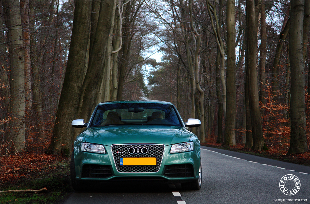 447890RS5230112ESQUIROU013.jpg