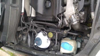 447e39478339272.jpg