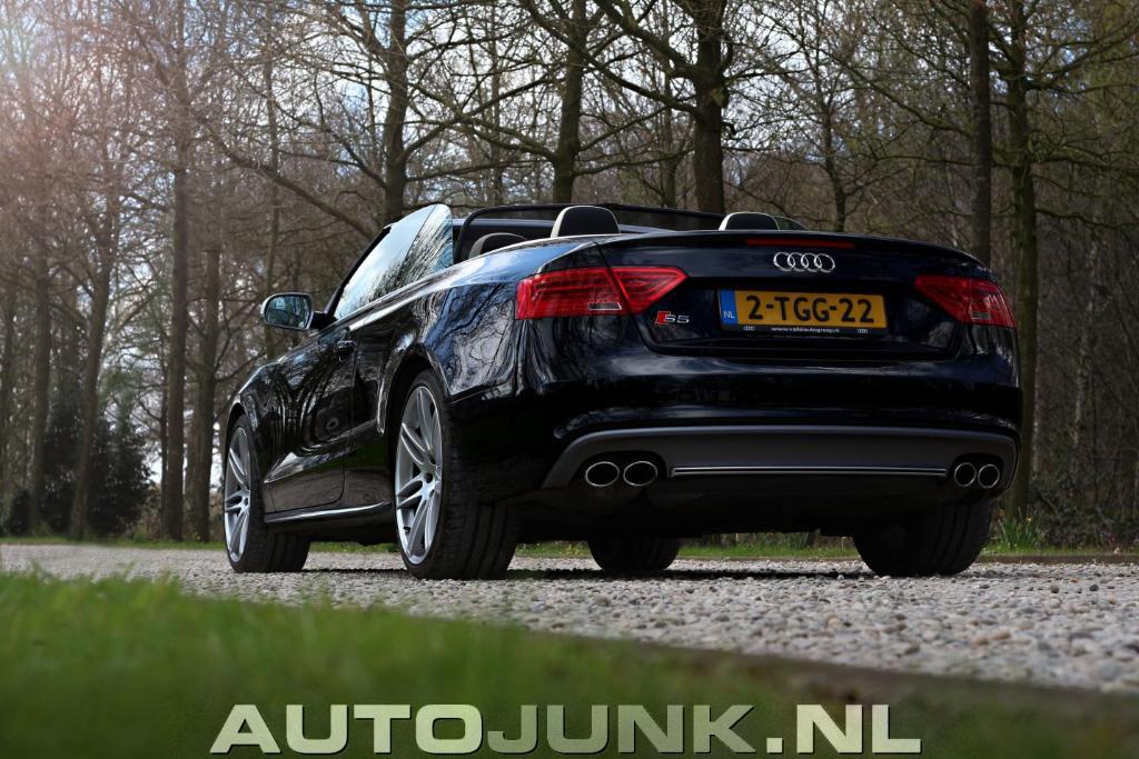 4497422077S5.jpg