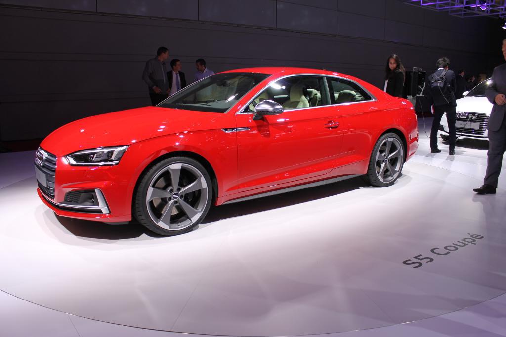 450334S5B90185.jpg