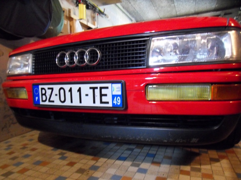 451236SDC11399.jpg