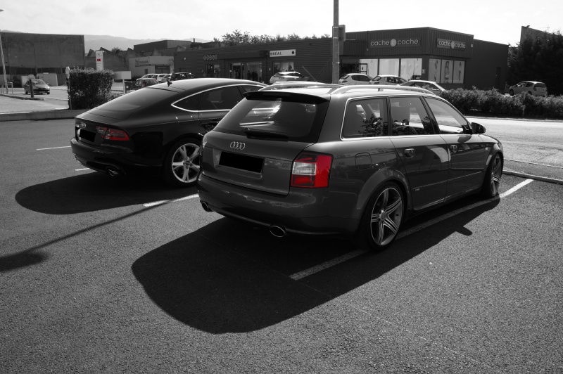 452874DSC00442.jpg