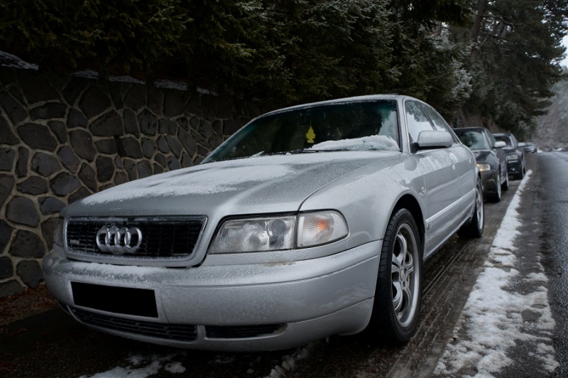 455900DSC02478Copie.jpg