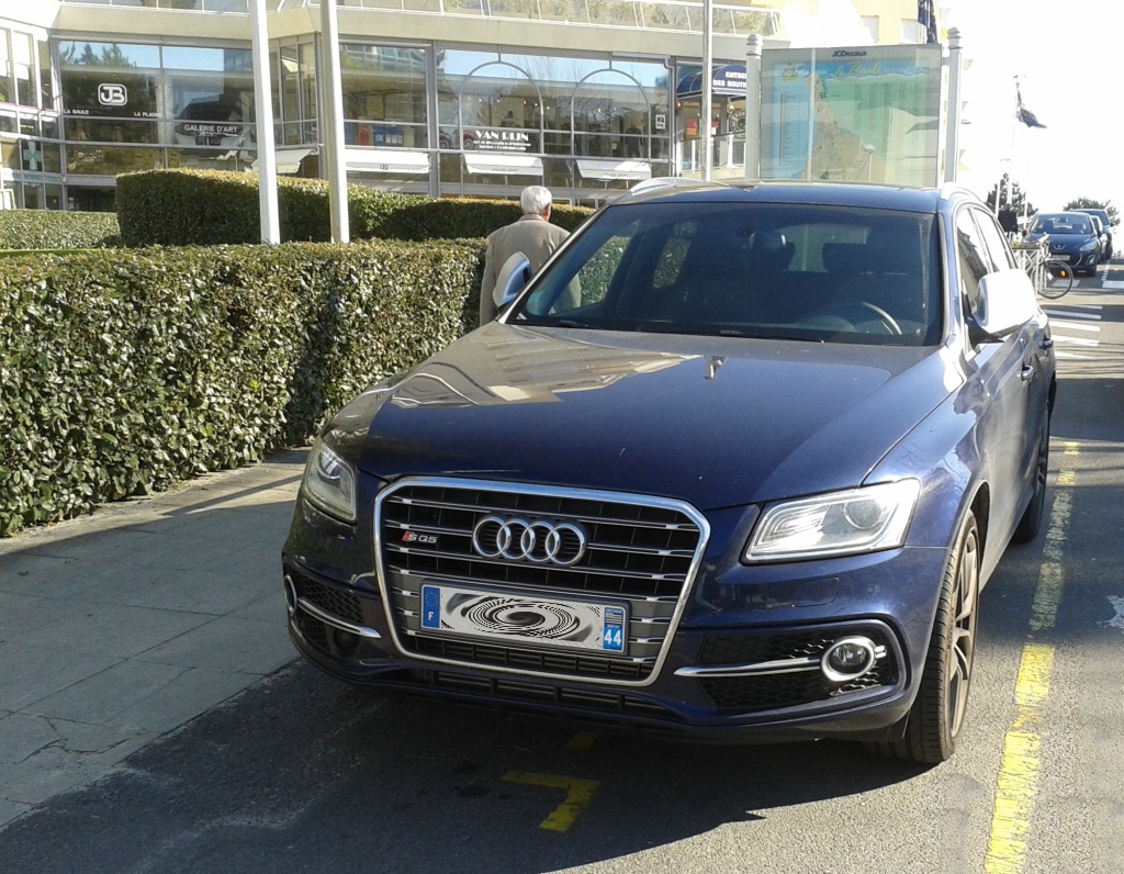 455927AUDISQ51035.jpg