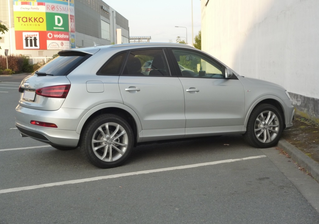 456128P1010175p.jpg