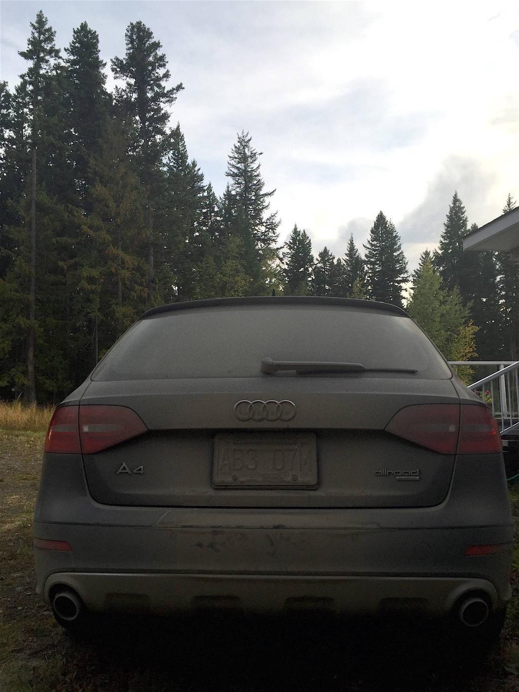 4561821481AUDIA4ALLROAD.jpg