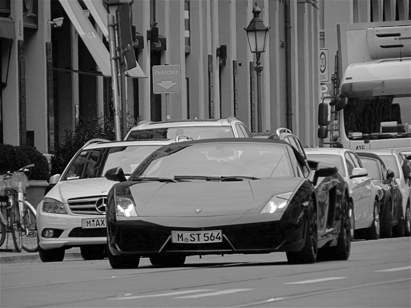 456528IMG3493.jpg