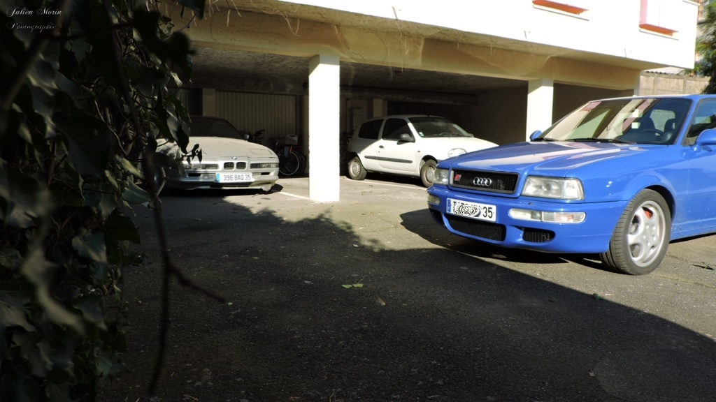 456772RS2301.jpg