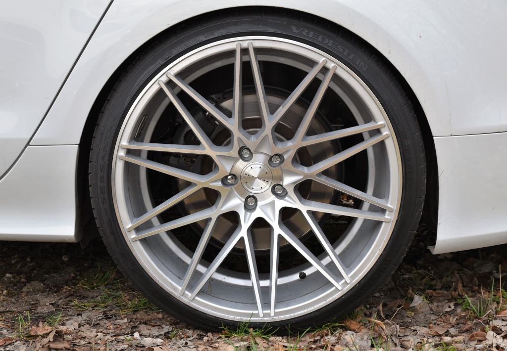 459257DSC00452x.jpg