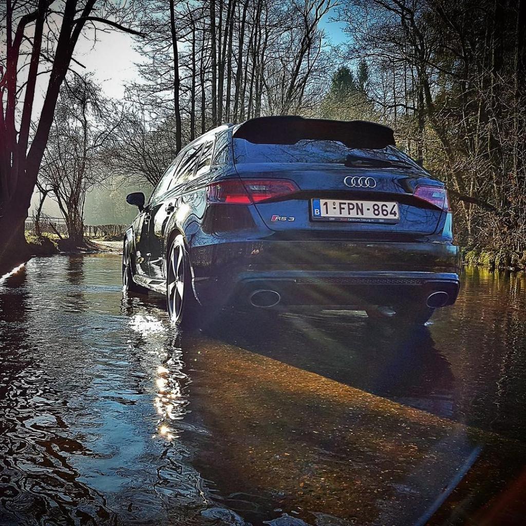 459628RS38V1754.jpg