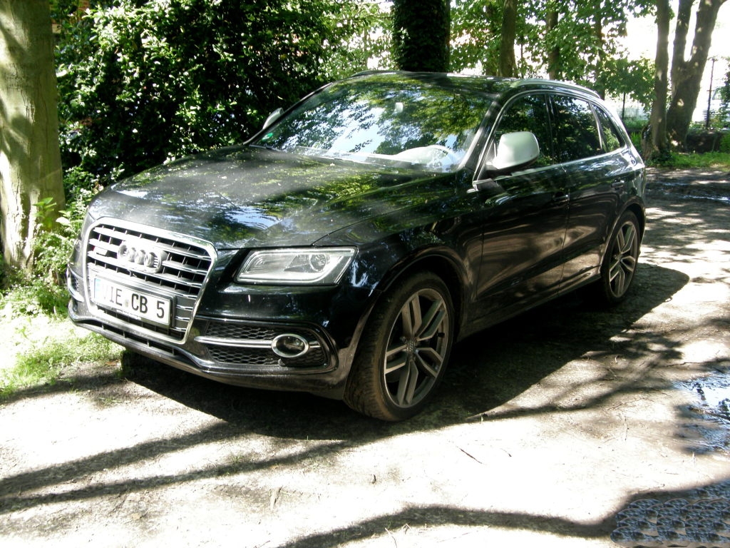 461123AUDISQ51152.jpg