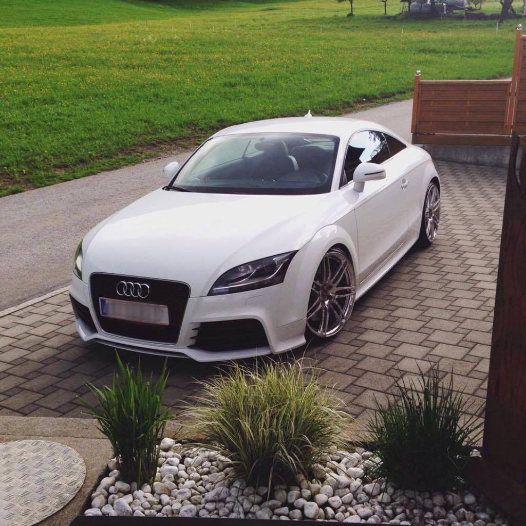 462074AUDITTRS1577.jpg