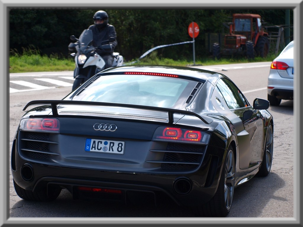 463087R8GT238ESQUIROU.jpg