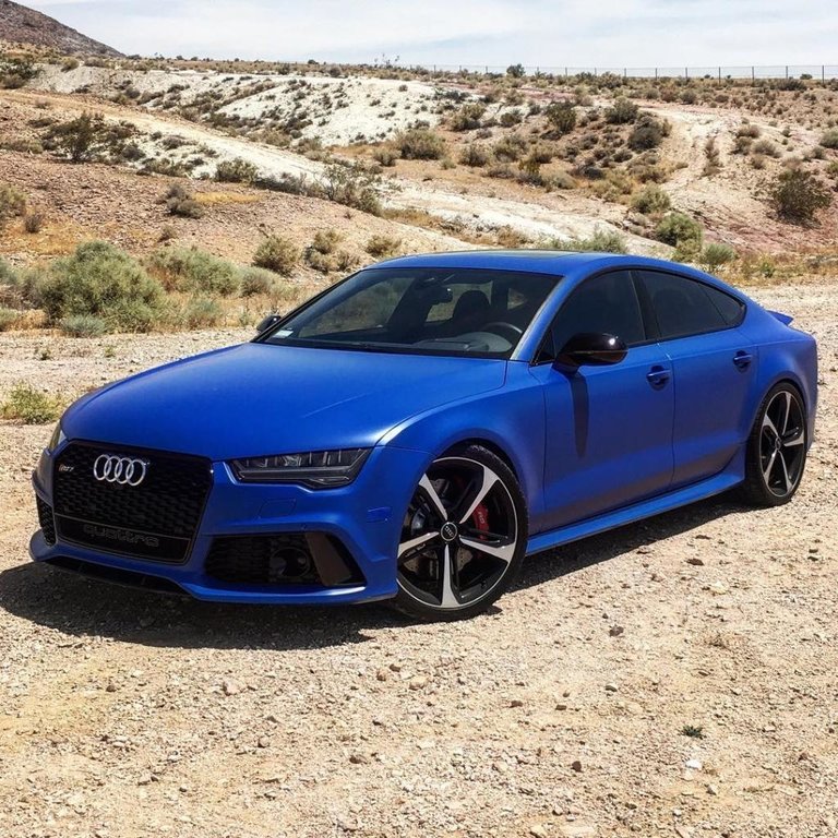 463146RS72162.jpg