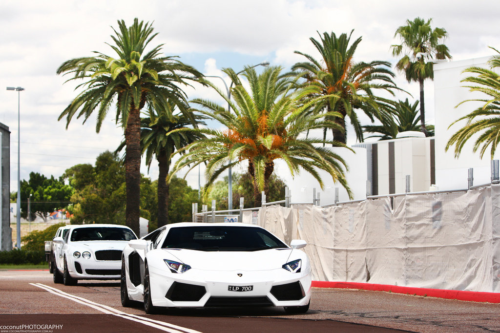 467027171LAMBORGHINIAVENTADORESQUIROU.jpg