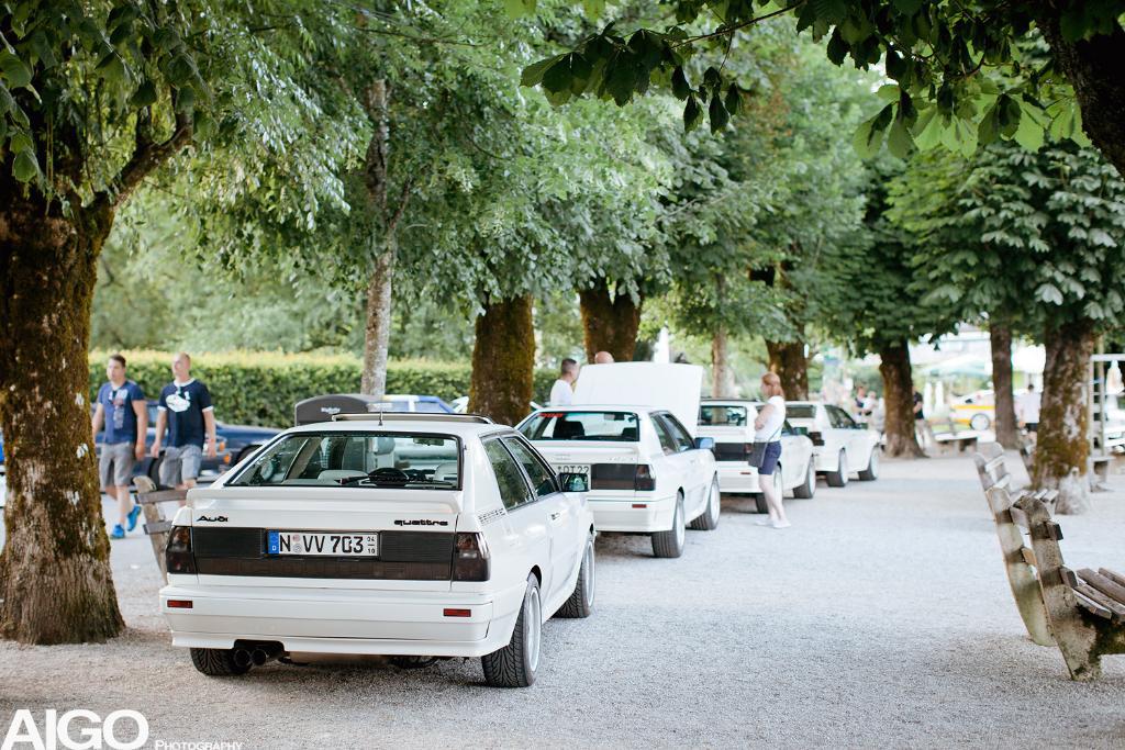 468262URQUATTRO1804.jpg