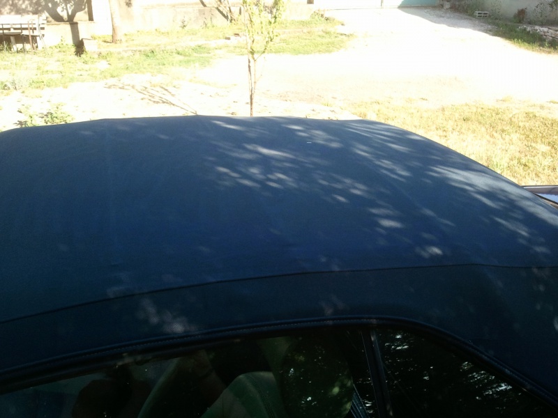469653Photo6244.jpg