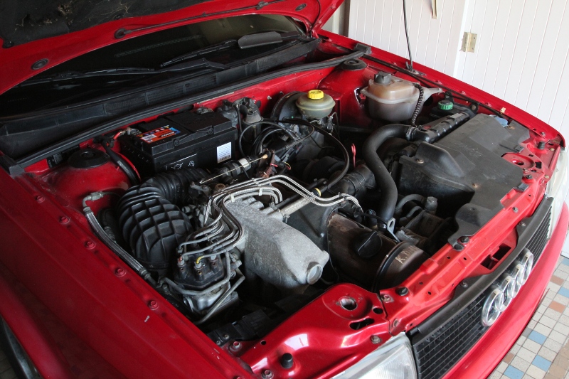 475371IMG5292.jpg