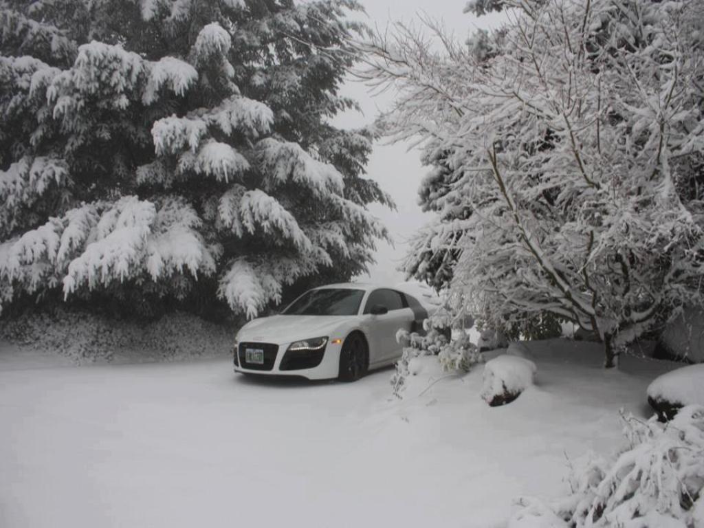 477399530NEIGE.jpg