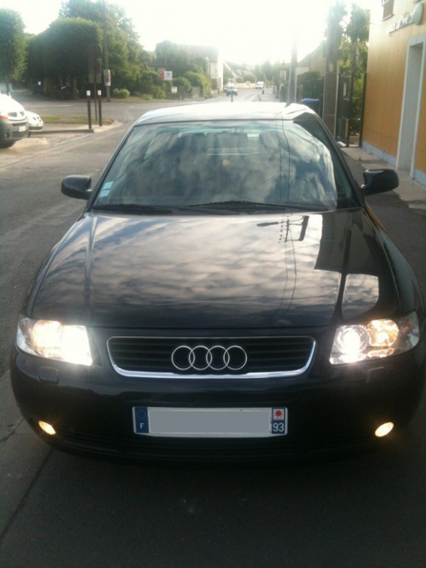 478618IMG0302sp.jpg