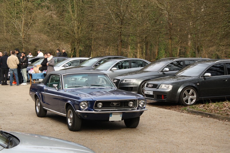 480358IMG6678.jpg