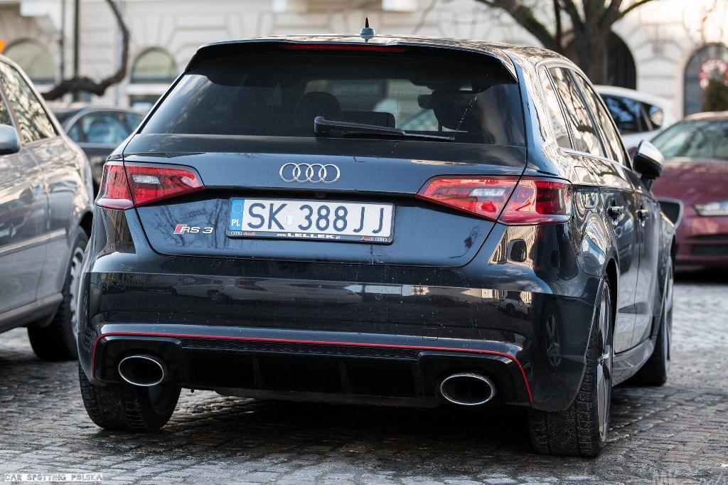 481195RS38V2080.jpg