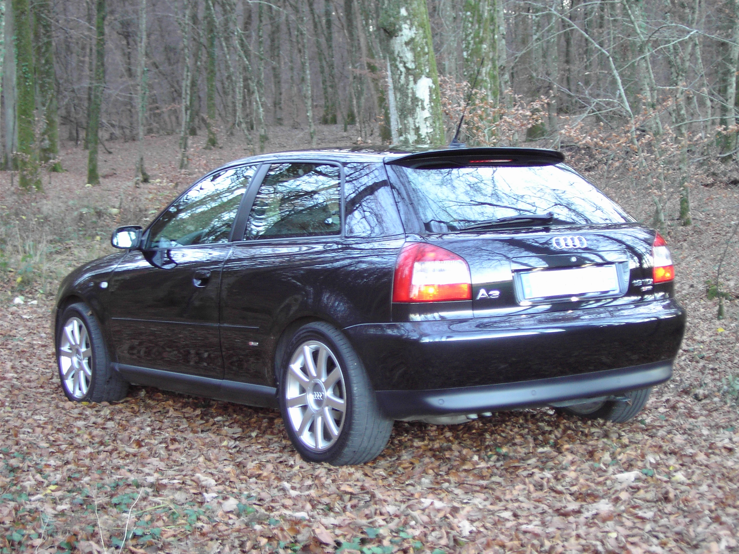481575PICT1735.jpg