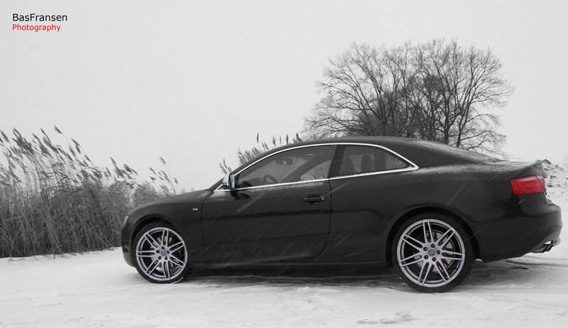481989008S5ESQUIROU.jpg