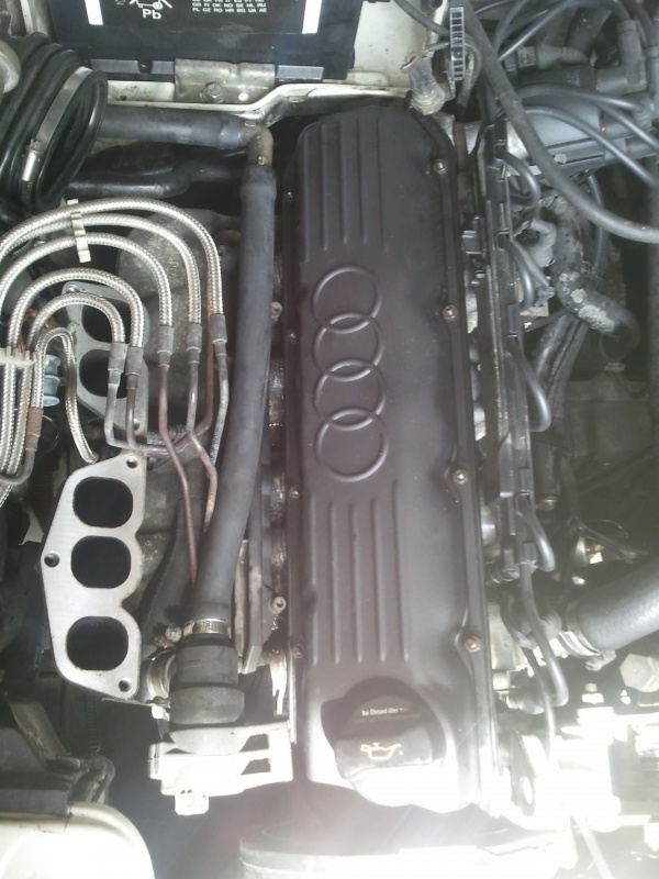 482514Photo6324.jpg
