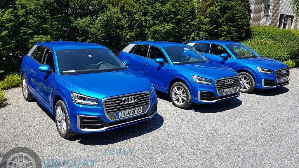 482955AUDIQ20304.jpg