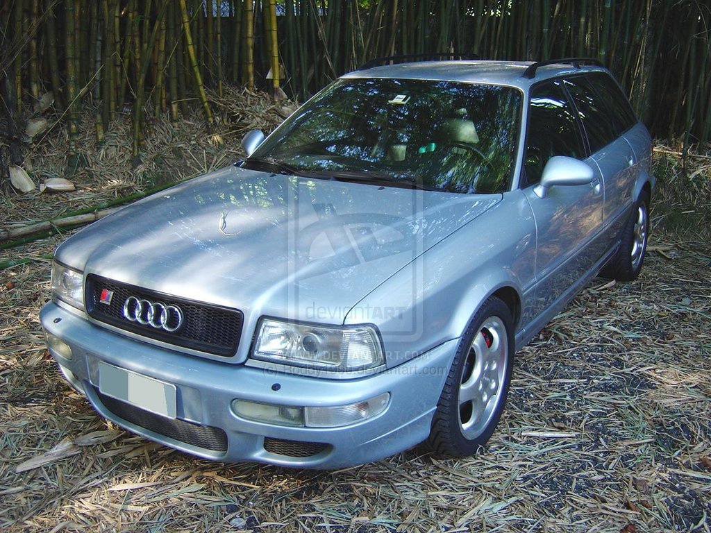 4837351995audirs21byroddy1990d3fmr74.jpg