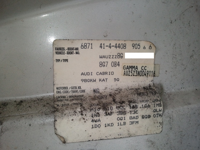 486169Photo4502a.jpg