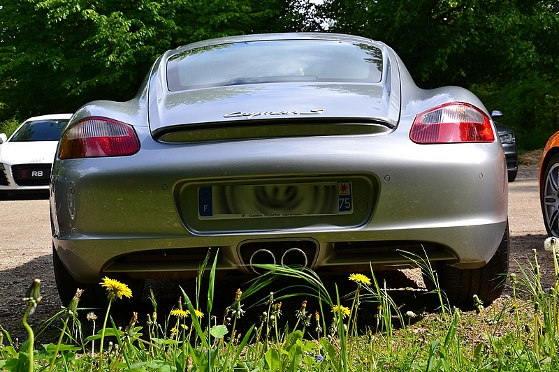 487194DSC1068a.jpg