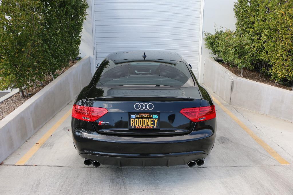 4886272452S5.jpg