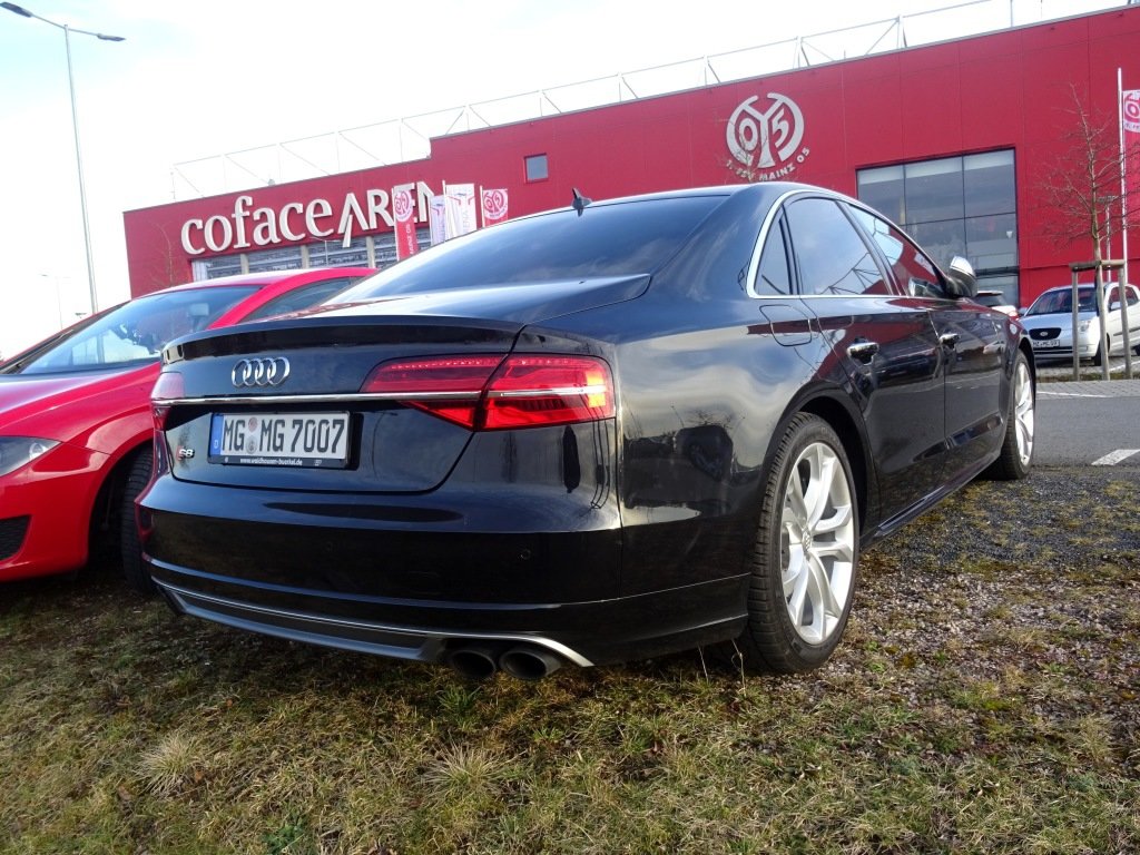 490986S8D41382.jpg