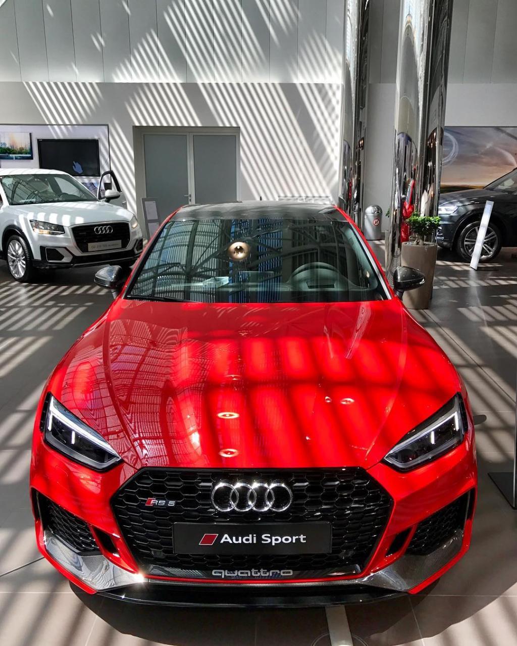 491860RS5B90431.jpg