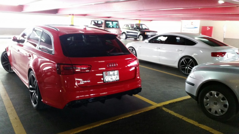 492838RS62.jpg