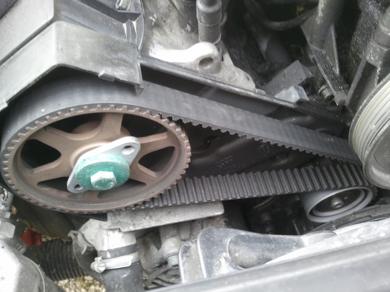 492925Photo5823.jpg