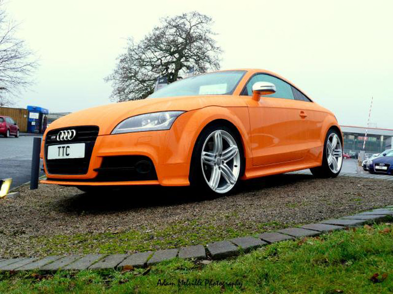 493243AUDITTRSESQUIROU073.jpg