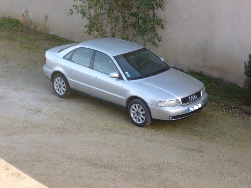 493294P1040317.jpg