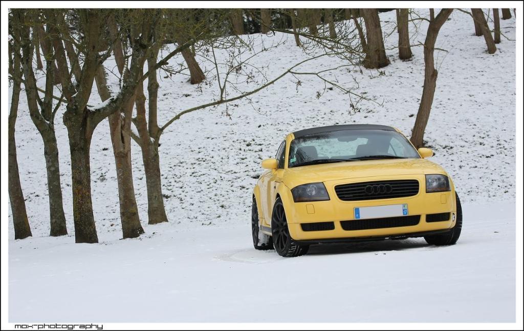 4934541047NEIGE.jpg