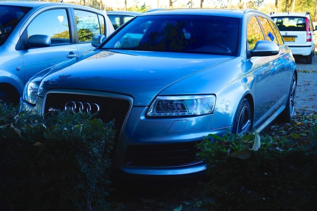 494510RS61412.jpg