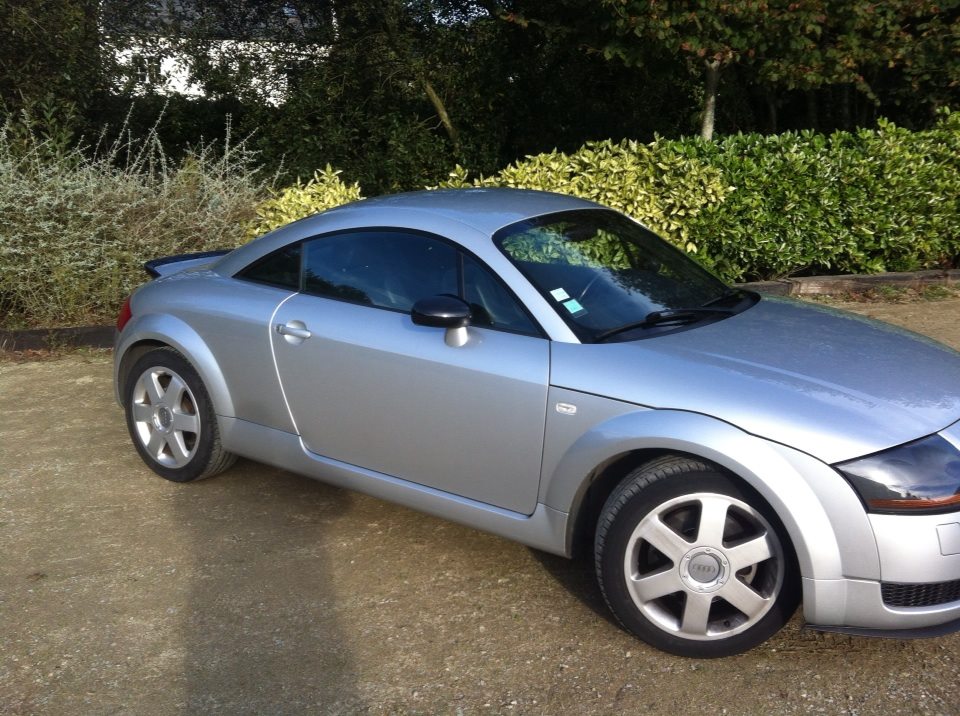 495295tt6.jpg
