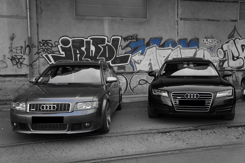 495880DSC01552Copie.jpg