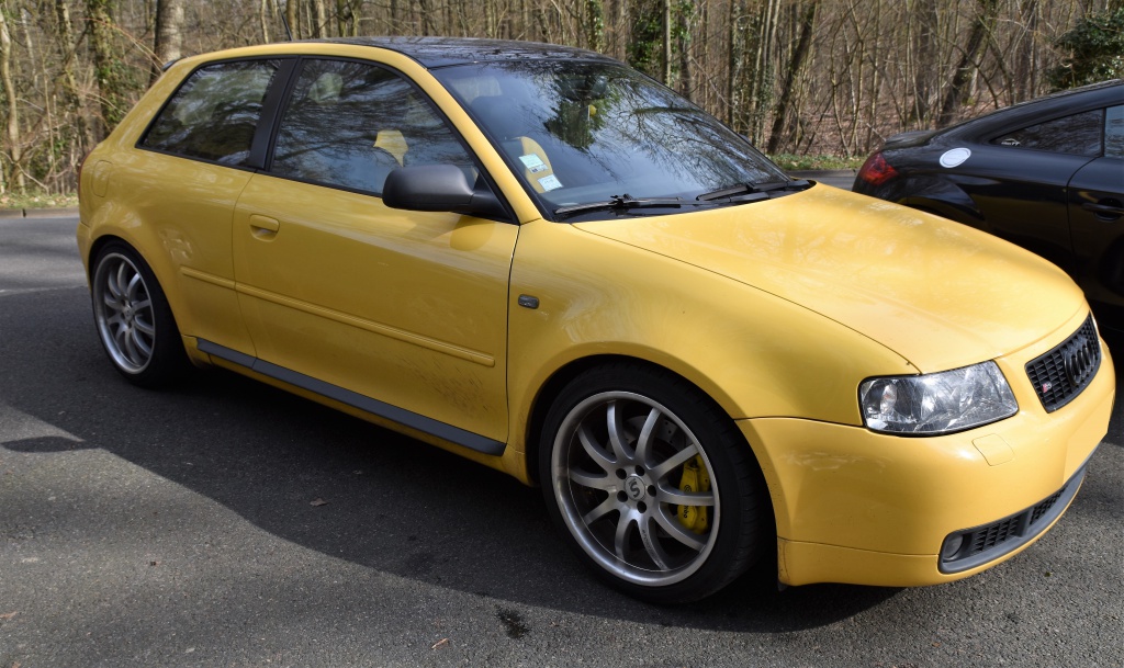 496635DSC00532x.jpg