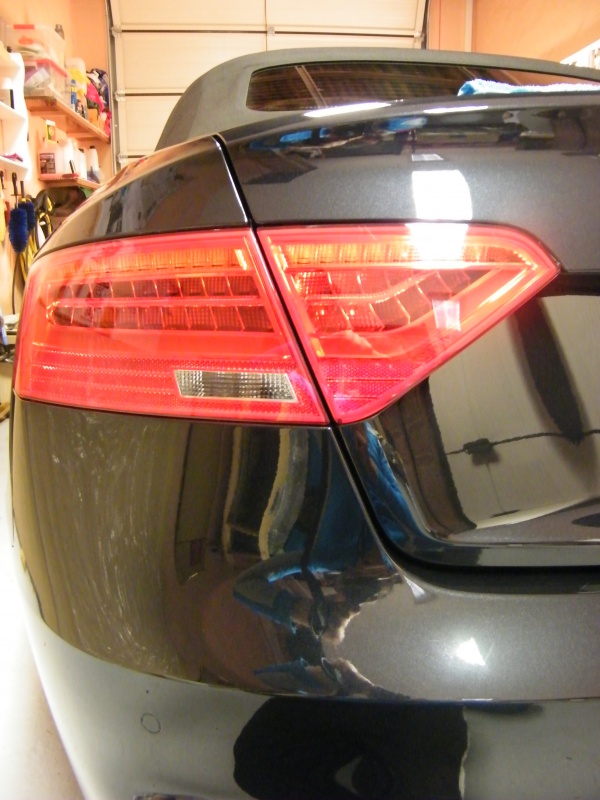 498230DSCF3816.jpg