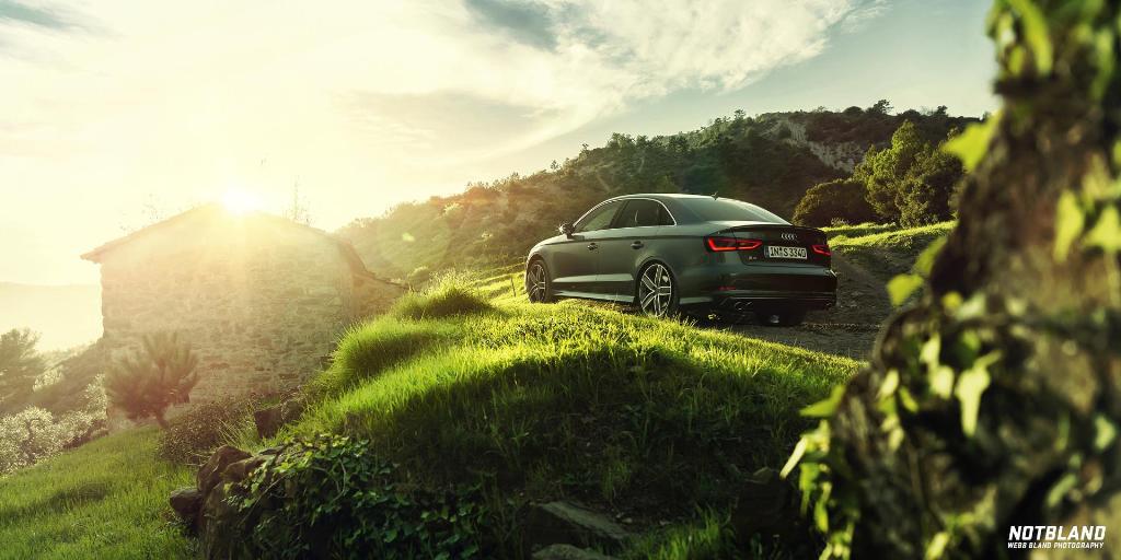 498993S38V505.jpg