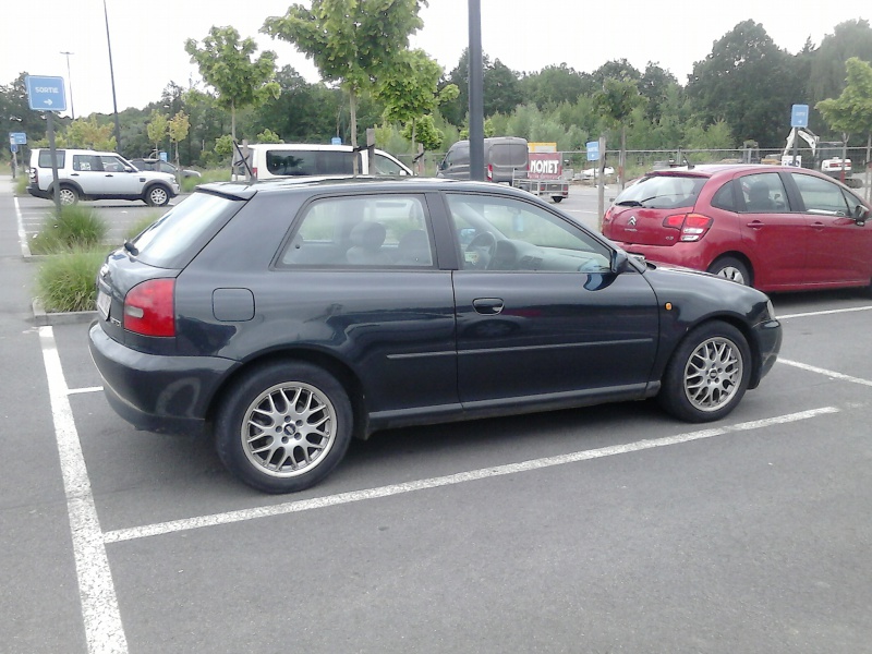 499553DSC0006.jpg
