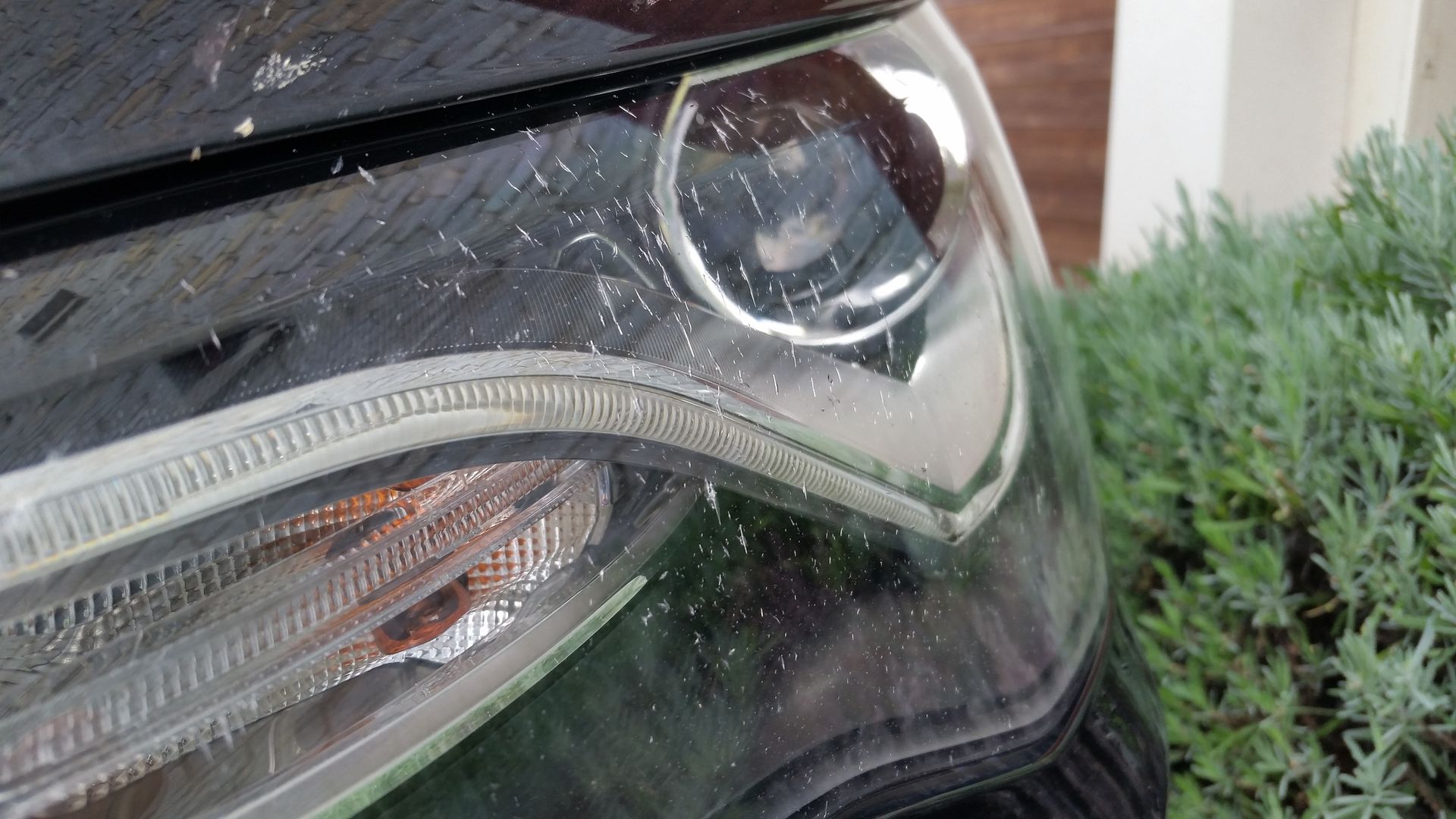 20150831_183239.jpg?psid=1