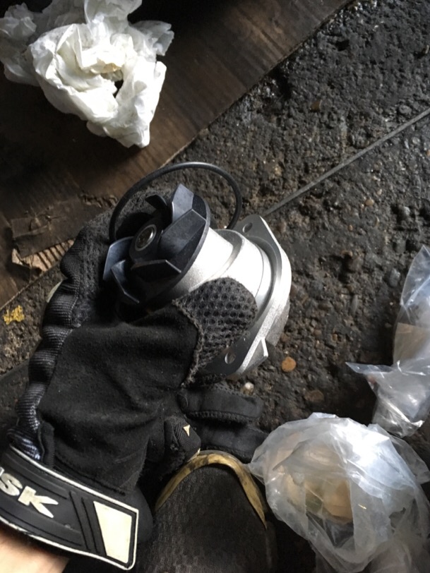 IMG_0110.JPG.30fab9076066b10d19c831f8f10